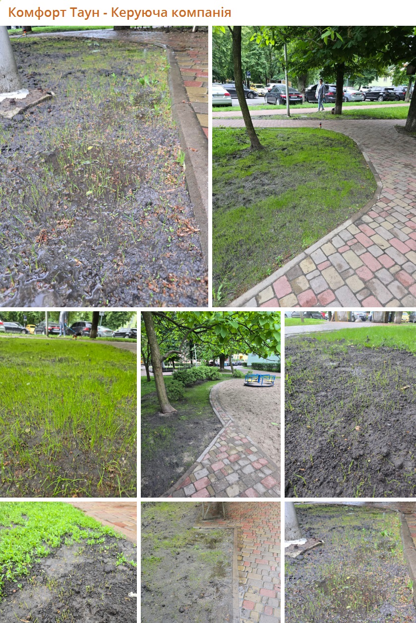 🌱 Шановні мешканці — великі та маленькі! 😊