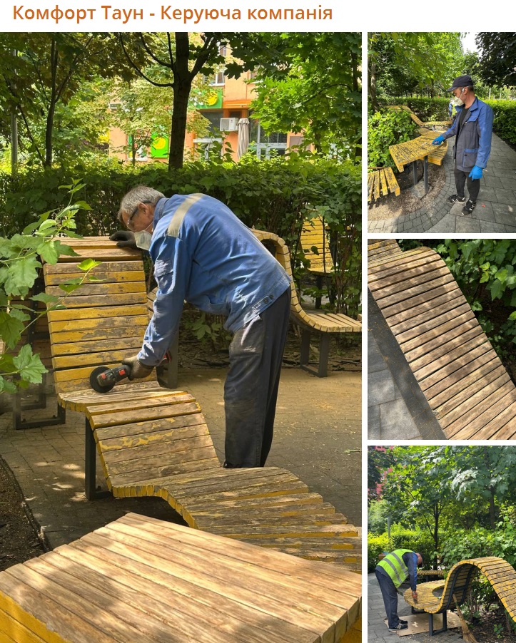 🌳 Друзі